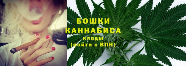 ГАЛЛЮЦИНОГЕННЫЕ ГРИБЫ Осташков