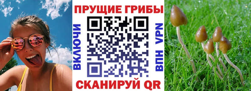 наркошоп  Октябрьск  Псилоцибиновые грибы мухоморы 